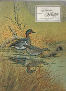 Virginia Wildlife Mag Myrtle Warbler & Small Game Regs November 1963 020321nonr - Imagen 1 de 2