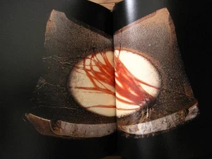 Sanyo Shimbunsha Bizen The Brilliance of Earth and Fire Art Book Jun Isezaki - Picture 1 of 24