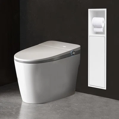 Gabinete de almacenamiento de papel higiénico en pared, gabinete de almacenamiento de papel higiénico, empotrado Foto 1 de 4