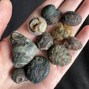Juego de 10 piezas de cristal curativo de ágata ojo alivio elevado desierto Alxa Gobi crudo #3679 - Imagen 1 de 12