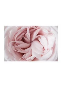 Poster Blossom Stampa Arredo Camera Parete Stampa Poster Fiori Natura Arte Fiori - Picture 1 of 17