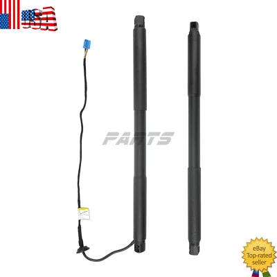 Rear Trunk Lift Supports Shocks for Mercedes-Benz X166 GL350 GL450 GL550 GLS450 - Image 1 of 4
