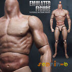 1/6 Emulated Muscular Figure Body for Wolverine 12" hot toys Model Action Figure