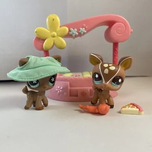 LPS 💕 Littlest Pet Shop Authentic Deers #670 & #2499 🎁Bag - Picture 1 of 11