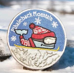 Toppa sci stile WHALEBACK MOUNTAIN 4" COMPLETAMENTE ricamata da stirare o cucire TONDA - Foto 1 di 6