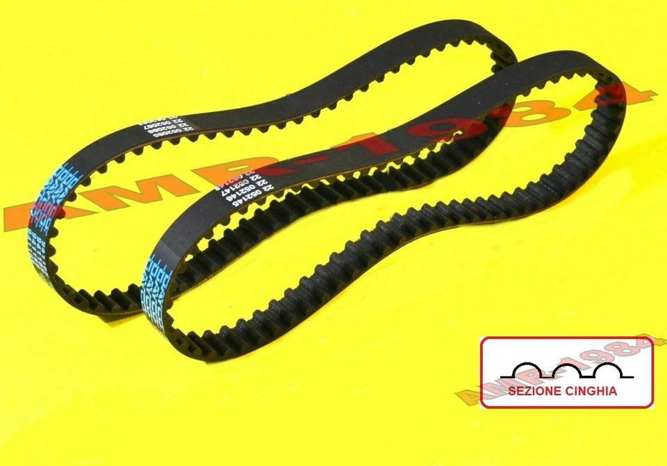 CINGHIE DISTRIBUZIONE DUCATI Monster 600 620 695 da 1998 Dayco dente arrotondato