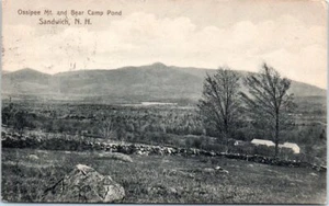 Sándwich postal de principios de la década de 1910 Ossipee Mountain Monte oso campamento estanque - Imagen 1 de 2