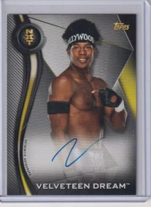  Velveteen Dream 2019 Topps WWE NXT Autograph Card A-VD  - Picture 1 of 1