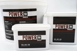 Power Si Granular Slow Release stabilized orthosilicic Acid - Picture 1 of 4