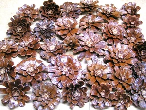 32 Pine cone flowers, slices, zinnia daisy pieces for crafts, wreaths, set RON - Picture 1 of 5