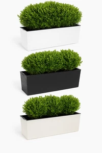 Chisel Trough Plant Pot Long Plastic Planter Home Garden Window Herb Flower Box - Picture 1 of 7