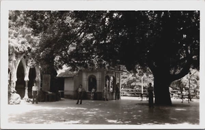Cuba Habana Bajo la sombra del gran árbol Manmoneillo de colección RPPC C098 - Imagen 1 de 2