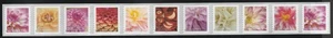 US Scott 5982-5991, Dahlias coil PNC strip of 11, plate # P1111 - Picture 1 of 1