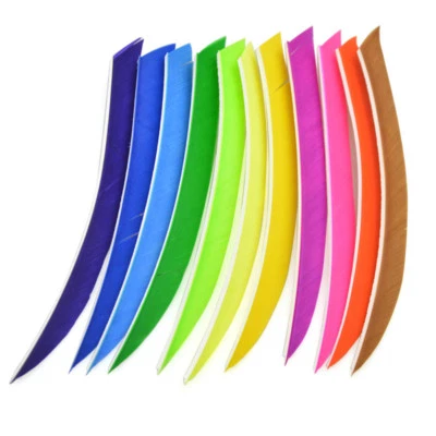 50X 5" Archery Feathers Arrow Natural Fletches Turkey Fletching Right Wing DIY - Image 1 of 4