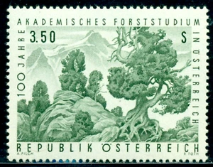 1967 pino de piedra suizo, Pinus cembra, Instituto de Investigación Forrest, Austria, 1251, montado sin montar o nunca montado - Imagen 1 de 1
