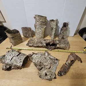 Gran Lote Piezas de Corteza de Abedul Tubos Artesanía - - Imagen 1 de 12