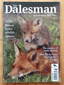 The Dalesman Magazine; febrero de 2021 - Imagen 1 de 7
