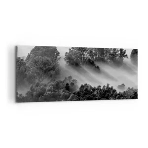 Wandbilder 100x40cm Leinwandbild Schwarzweiß Bäume Nebel Groß Bilder Wanddeko - Bild 1 von 10