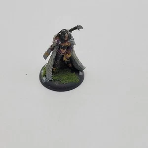 Lanyssa Ryssyl, Nyss Sorceress. [x1] Retribution of Scyrah [Warmachine] Painted - Imagen 1 de 3