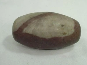 Huevo de piedra BUTW Shiva Lingam lingum lingham 3,2" India río Narmada 5692D - Imagen 1 de 2