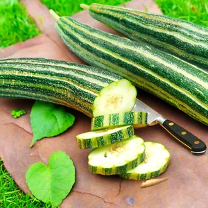 Striped Armenian Cucumber Seeds | Painted Serpent Yard Persian Snake Seed 2025 - Picture 1 of 12