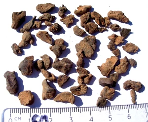 obtienes todos los 23,7 gramos Gebel Kamil encontrados meteoritos de hierro de Egipto con certificado de autenticidad - Imagen 1 de 1