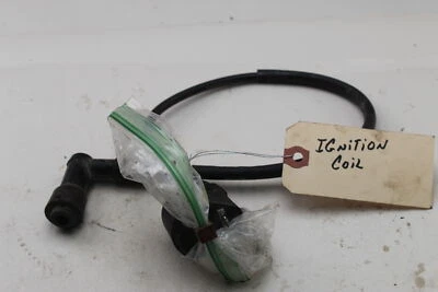 Yamaha TTR90E 2005 bobina de encendido Foto 1 de 4