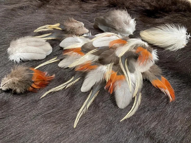 50er Federmix, 5-10cm, 5 Sorten, Bastelfedern aus guter Haltung, Naturfedern, kl - Bild 1 von 4