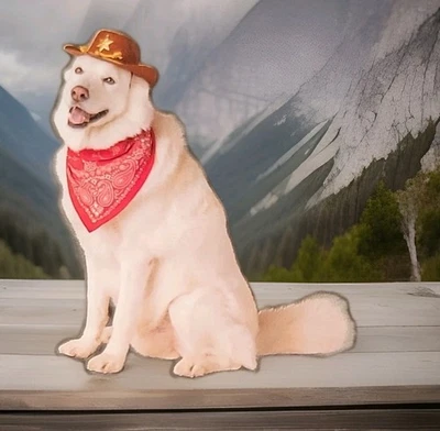Disfraz de Vaquero para Perro L/XL con Sombrero de Vaquero Mascota Bandana Disfraz,  Foto 1 de 4