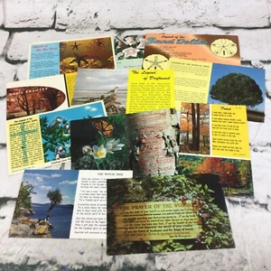 Collectible Postcard Lot Of 12 Trees Nature Driftwood Prayer Of The Woods Witch  - Picture 1 of 8