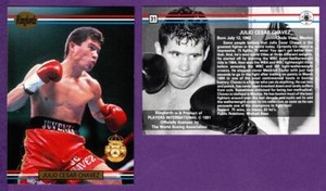 Julio Cesar Chavez 1991 Ringlords Boxing Base Card #31