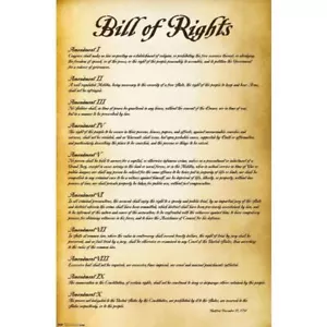 BIL OF RIGHTS POSTER - 22x34 - 6908 - Picture 1 of 1