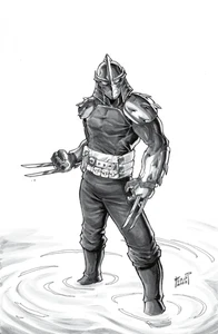 TEENAGE MUTANT NINJA TURTLES SHREDDER #1 EXCLUSIVE VIRGIN - FERO PE - Picture 1 of 1