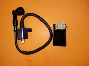 CDI Unit 8 Pins / Engine Ignitor Starter Coil 12v for Honda CH125 150 250 Elite - Picture 1 of 4