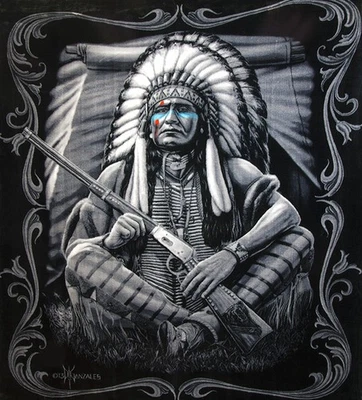 8lb Heavyweight Soft Queen Blanket, Officially Licensed, Native American Warrior - Image 1 of 3