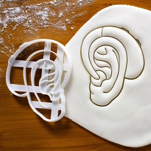 Hearing Aid cookie cutter | audiologist human ear audiology ENT otolaryngology - Picture 1 of 6