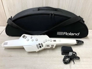 Roland AE-10 White Aerophone Digital Saxophone Digital Wind Synthesize Japan - Picture 1 of 3