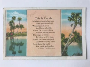 Postal This Is Florida Poema William Franklin Atwood Palmeras Agua c1910 - Imagen 1 de 2