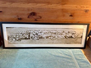 Panoramic Photo St Andrews Society of Brooklyn & W Paterson Picnic 1966 Vintage - Picture 1 of 11