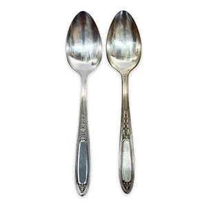 Oneida Enchantment Bounty Teaspoon Silverplate Flatware 2Pc Set - Picture 1 of 8