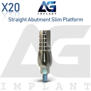 20 Straight Abut ment Slim Platform Titanium For Int Hex 2.0mm Connection - Picture 1 of 5
