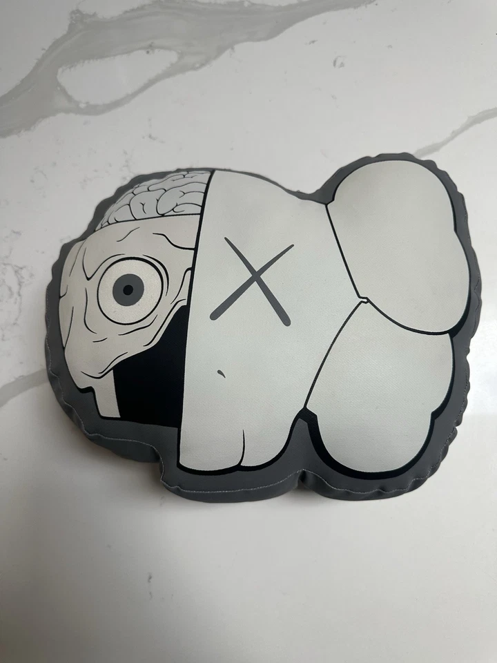ALMOHADA COJÍN COMPAÑERO DISECCIONADO FALSO ORIGINAL KAWS GRIS Foto 1 de 4