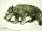 Cecil Aldin 1932 Scottish Terrier On Steps Art Matted