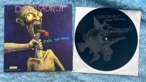 Dinosaur Jr Feel the Pain 10 inch Limited Edition Numbered Etched Disc (Ex) Rare - Picture 1 of 5