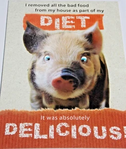 Funny Blank Card. Jelly Bean Range of Cards. (JB11) - Picture 1 of 1