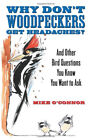 Why Don't Woodpeckers Get Headaches? : And Other Bird Questions Y