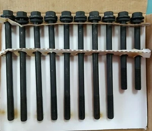 JUEGO x10 PERNOS DE CULATA PARA DAIHATSU TERIOS J100 1.3L HC,FEROZA F300 1.6L HD - Imagen 1 de 3