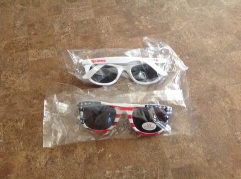 Rochester Red Wings Sunglasses Cover
