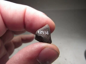 MUSEUM # 12934 PROBEN! FRISCH VERKRUSTETER WILUNA AUSTRALISCHER METEORIT 3,7 GMS - Bild 1 von 7