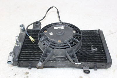 Triumph Tiger 1999 motor radiador enfriador motor con ventilador Foto 1 de 4